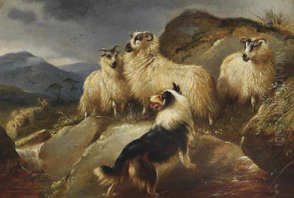 The Lost Sheep - view 1