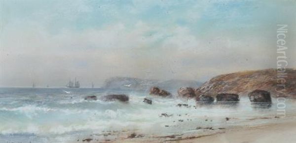 Coastline With Gulls - view 1