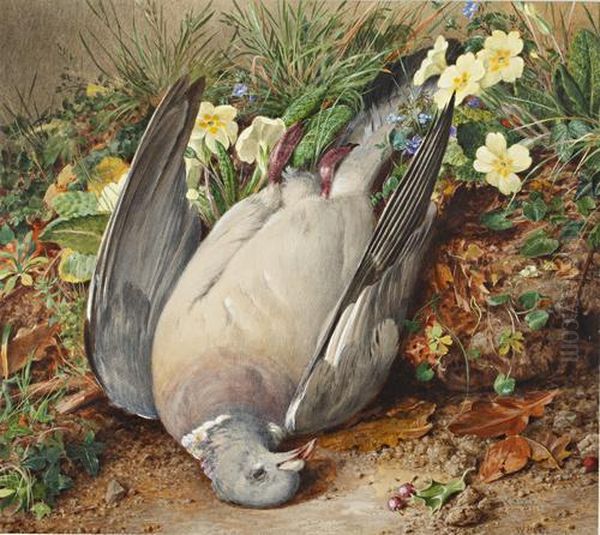 Pigeon On A Primrose Bank - view 1