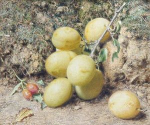 Magnum Bonum Plums by William Henry Hunt