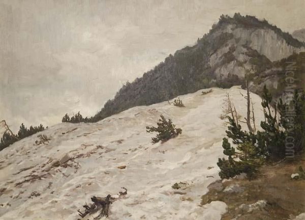 Schneebedeckte Berglandschaft - view 1