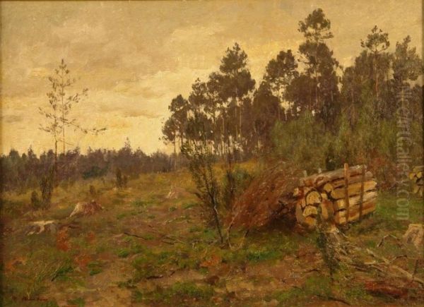 Summerly Forest Glade - view 1