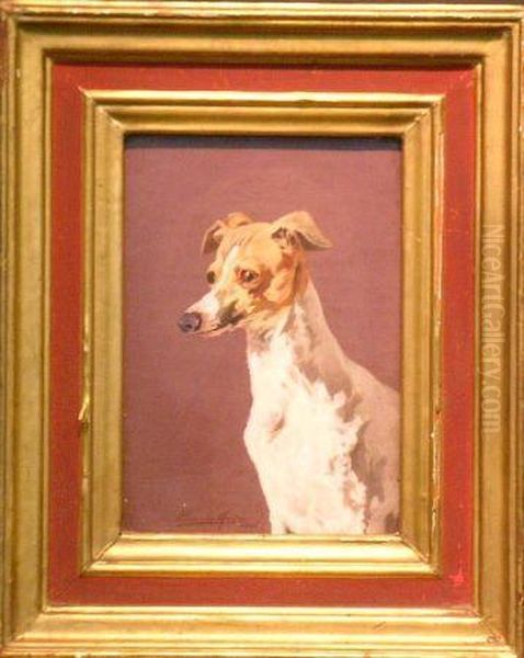 Head Of A Whippet - view 1