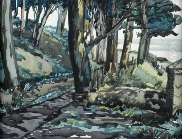 Path By The Trees - view 1