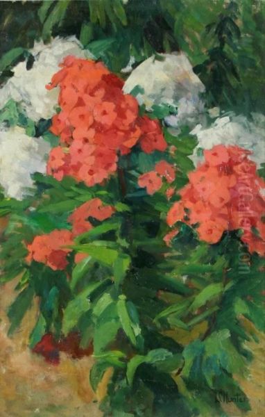 Rhododendrons - view 1