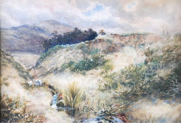 Hilly Landscape With Sheep Grazing - view 1