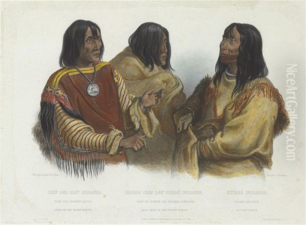 Engraving With Etching, Aquatint And Roulette In Colors Withhand-coloring, Circa 1839, On Wove Paper, With The C, Bodmerblindstamp, With Wide Margins, Pale Light-, Mat And Time Staining,scattered Pinpoint Foxing Throughout, A Few Larger Foxmarks At Theshe - view 1