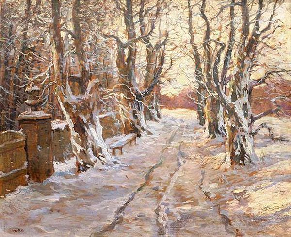 Snow-covered Path In A Park - view 1