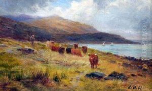 Highland Cattle On A Scottish Coastline