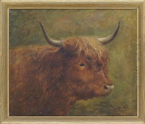 Head Of A Bull