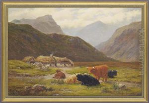 Highland Cattle Resting Near Croft Houses