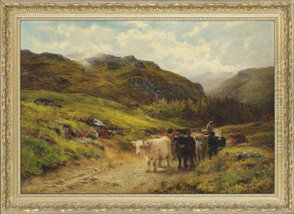 Driving Highland Cattle - view 1