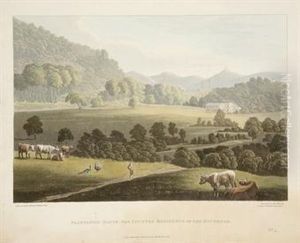Views Of Saint Helena by George Hutchins Bellasis