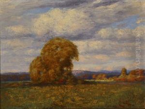 Connecticut Rural Landscape by Will Hutchins