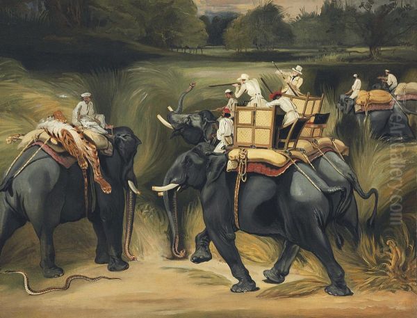Tiger Hunting - view 1