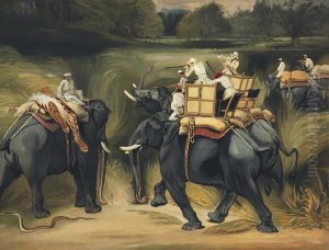 Tiger Hunting