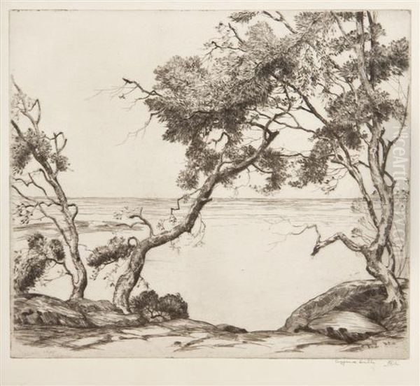 Coastal Trees - view 1