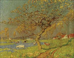 Schitterende Herfst Te Wacken