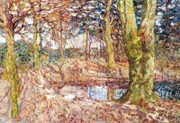 Le Parc En Automne, Vijve St Elooi - view 1