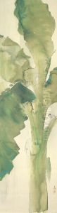 Basho No Ame (banana Tree In Rain)