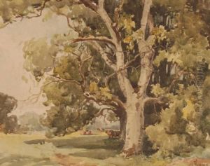 Cattle Sheltering Under Trees by William Hyams