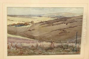 The Sussex Downs by William Hyams