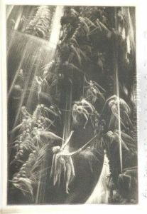 Heavenly Host. by William Hyde
