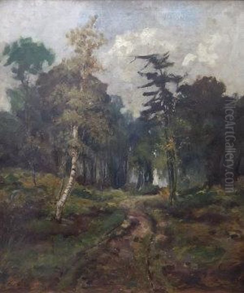 Woodland Scene - view 1