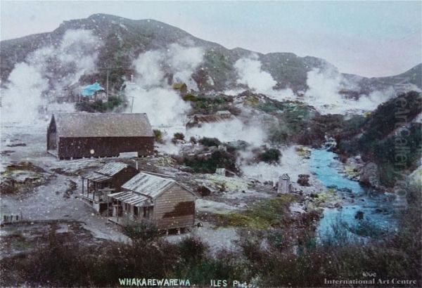 Whakarewarewa - view 1