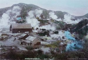 Whakarewarewa by Arthur James Iles