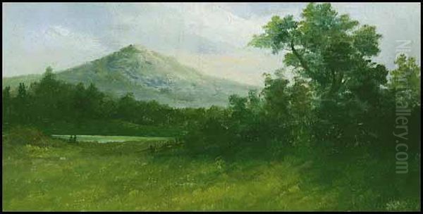 Landscape - view 1
