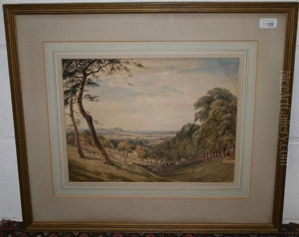 Cattle And Herder In Extensive Landscape - view 1