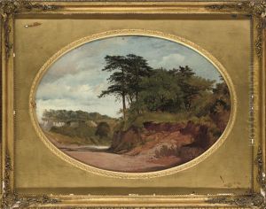 A Summer Landscape