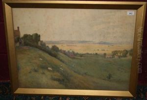 Extensive Landscape Entitled Extensive Landscape Entitled