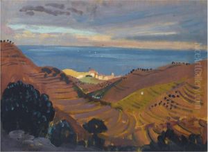 Collioure From The Hill