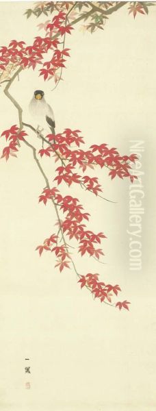 Autumn Maples And Japanese Grosbeak - view 1
