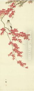 Autumn Maples And Japanese Grosbeak