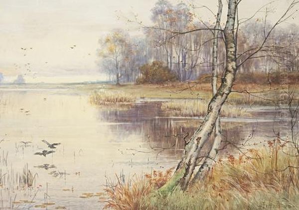 River Landscape - view 1