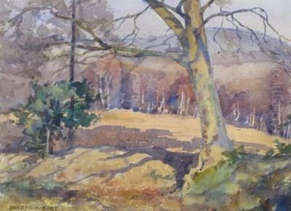A Pool In The Beech Wood - view 1