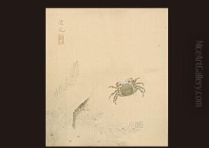 Crab Crab