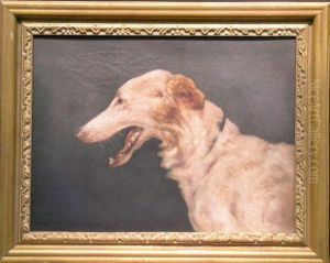 Sight Hound Sight Hound