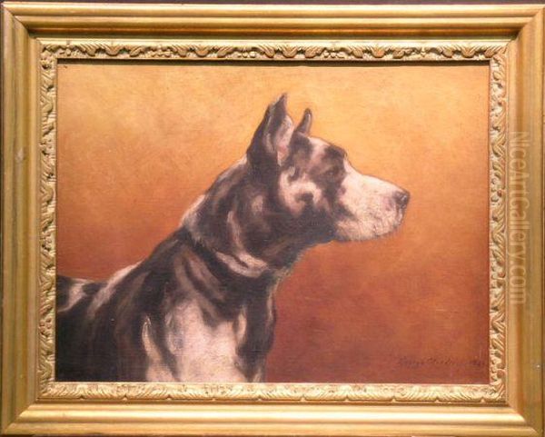 Great Dane - view 1
