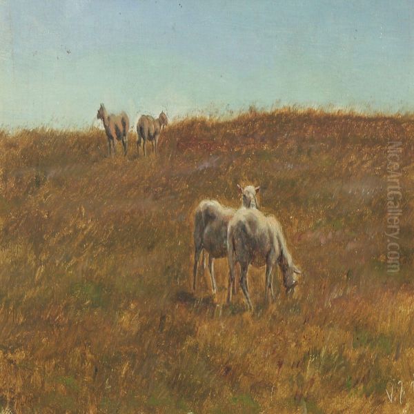 Landscape With Grazing Sheep - view 1