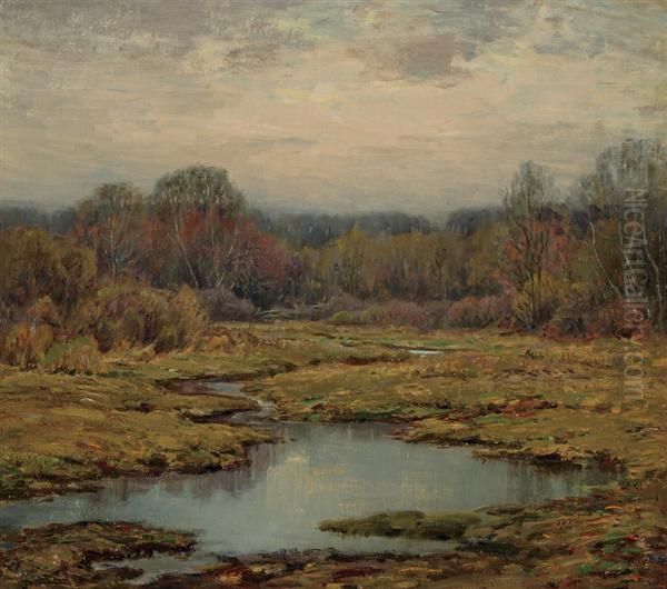Marsh In Autumn - view 1