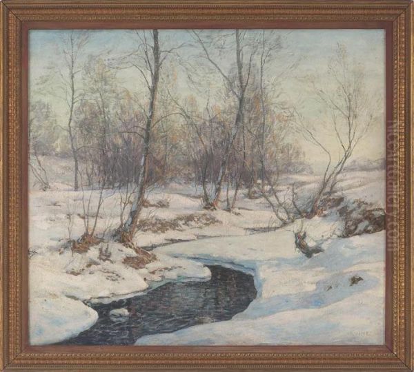 Forest Stream - view 1