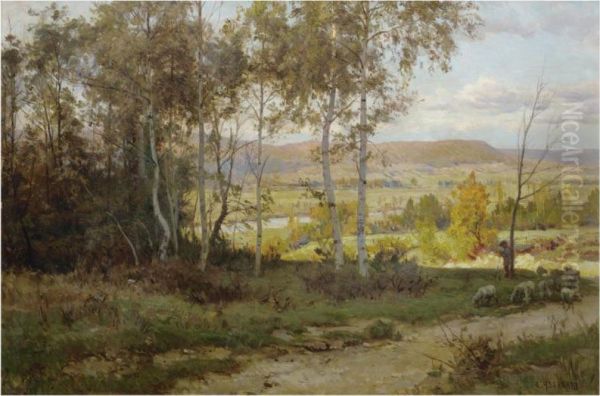 A Rest In The Shade - view 1