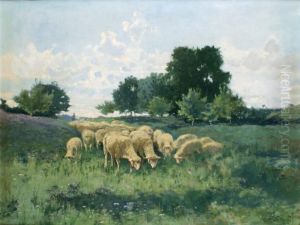 Les Moutons Dans La Prairie