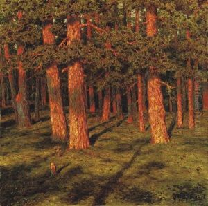 Pine Forest Pine Forest