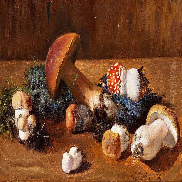 Mushrooms - view 1