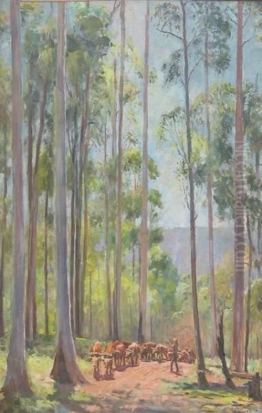 Salvana , Landscape With Bullock 1945train - view 1